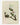 Affiche «Iulan blanc – Le grand jardin»