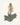Affiche «Aloe africana»