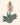 Affiche «Aloe africana»