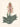 Affiche «Aloe africana»