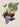 Affiche «Bananes»