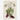 Affiche «Cashou»