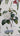 Affiche «Fleurs»