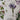 Affiche «Fleurs»