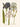 Affiche «Iris»