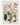 Affiche «Jasmin des Indes»