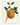 Affiche «Pomelo»