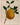 Affiche «Pomelo»