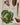 Affiche «Potager»