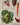 Affiche «Potager»