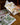 carnet champignons