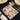 carnet papillons