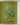 carnet plantes aromatiques
