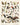 oiseaux les jolies planches 2