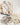 Puzzle «Champignons»