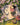 puzzle mon amie la licorne